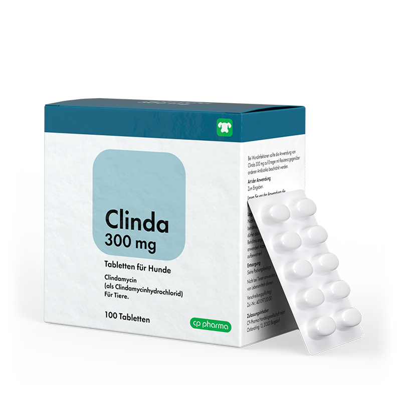 Clinda 300 mg Tabletten für Hunde, 100 Tabl.