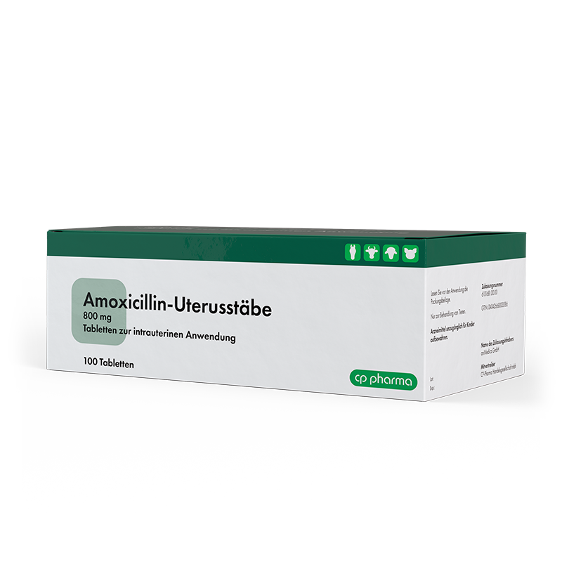 Amoxicillin-Uterusstäbe 800 mg, 100 Stück