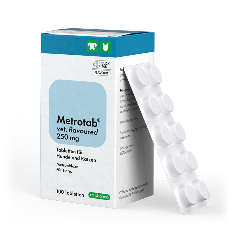 Metrotab vet. flavoured 250 mg, 100 Tabl.