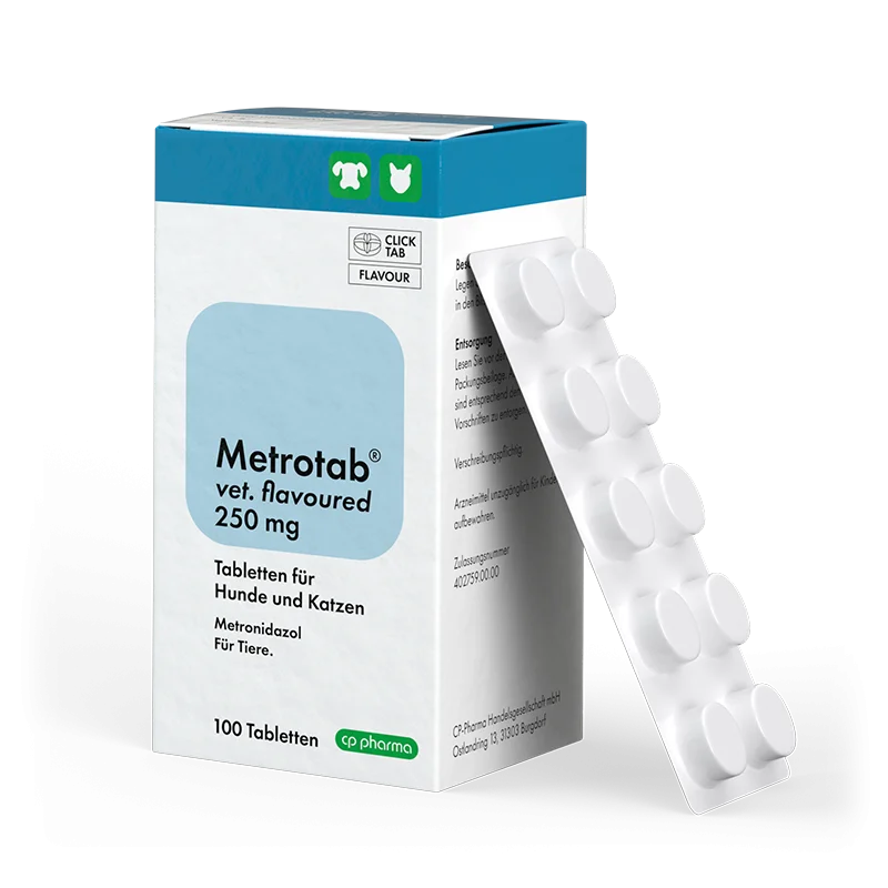 Metrotab vet. flavoured 250 mg, 100 Tabl.