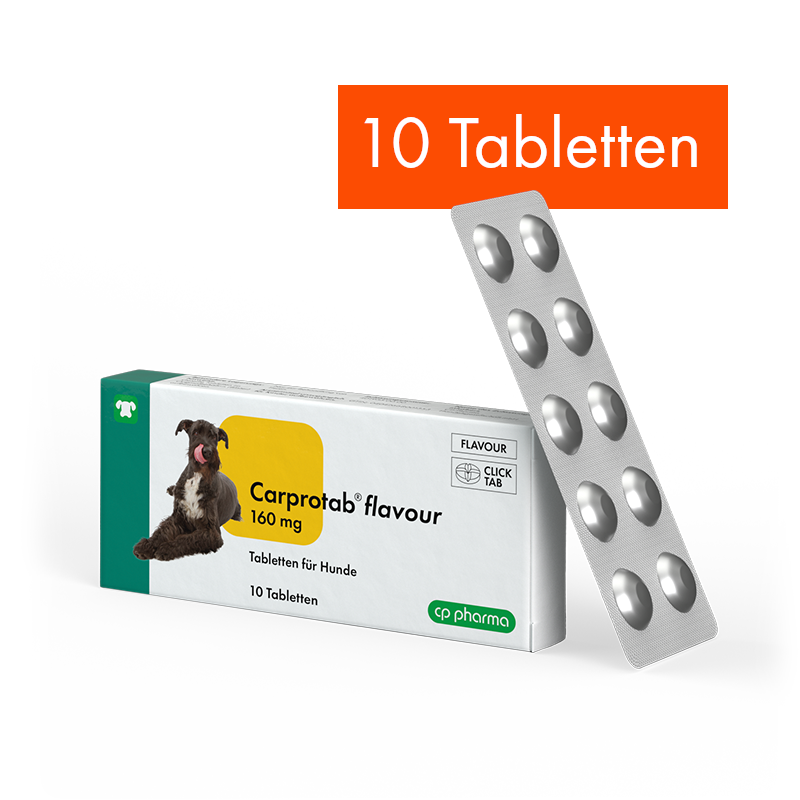 Carprotab flavour 160 mg, 10 Tabletten