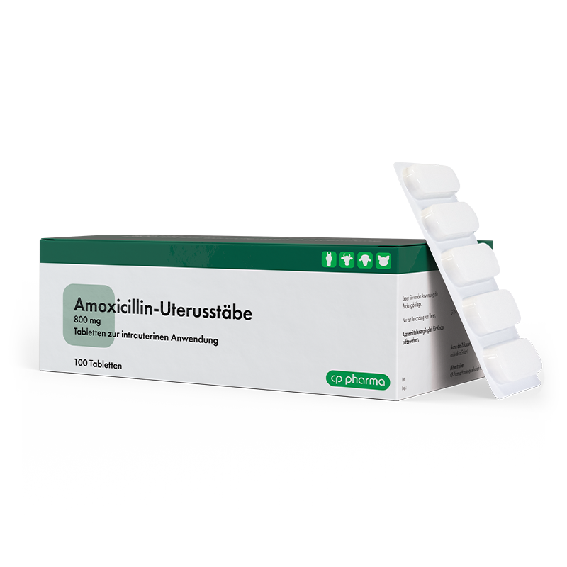 Amoxicillin-Uterusstäbe 800 mg, 100 Stück, geblistert