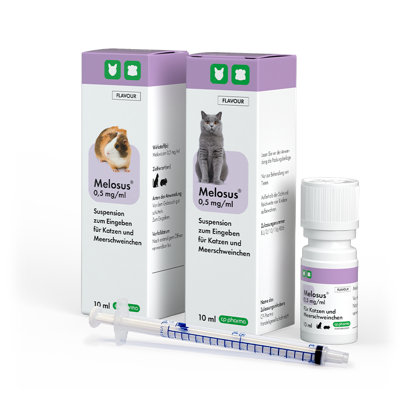 Melosus 0,5 mg/ml für Katzen und Meerschweinchen, 10 ml