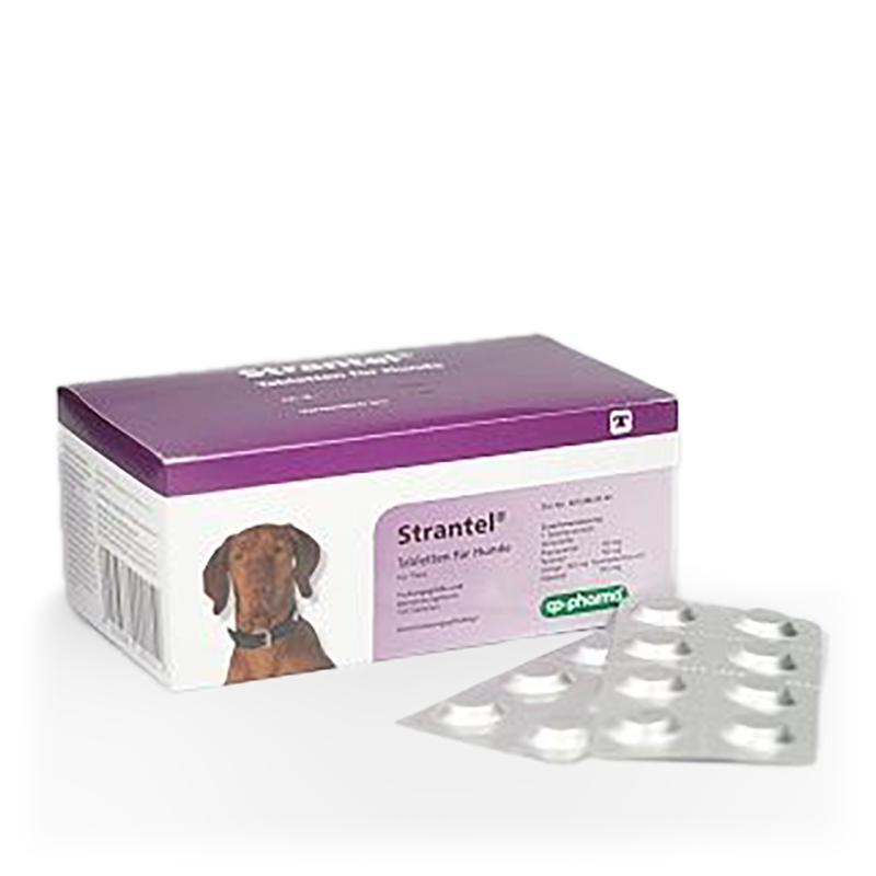 Strantel für Hunde, 104 Tabletten