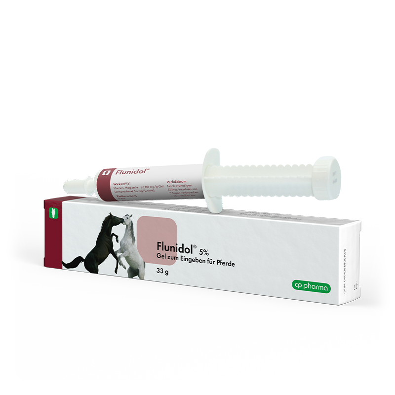 Flunidol 5 % Gel zum Eingeben, 33 g Injektor