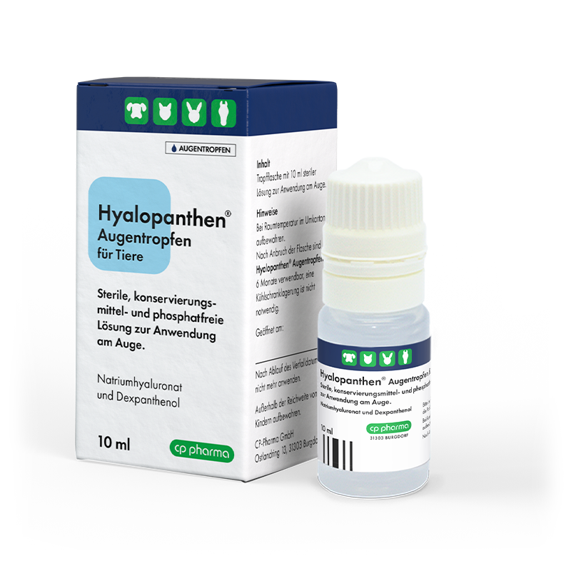 Hyalopanthen Augentropfen, 10 ml