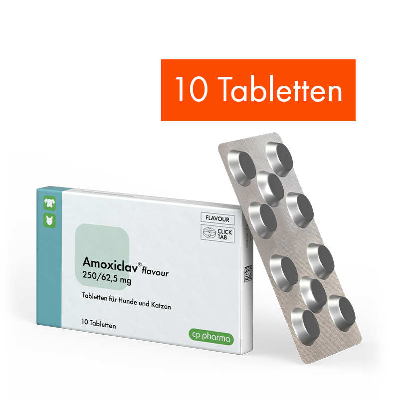 Amoxiclav flavour 250/62,5 mg, 10 Tabletten