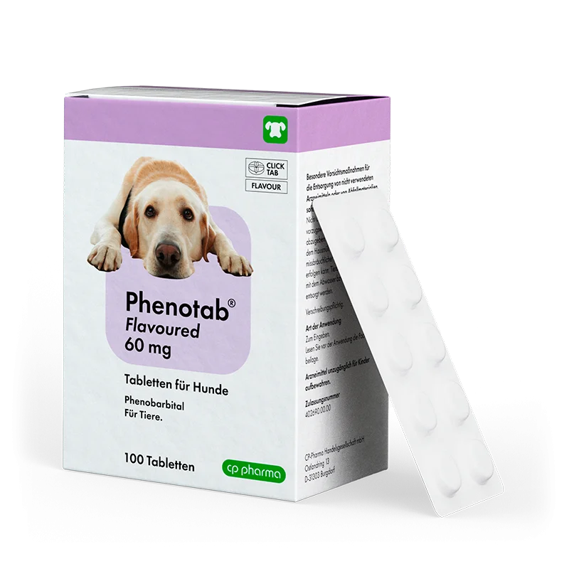 Phenotab flavoured 60 mg, 100 Tabletten