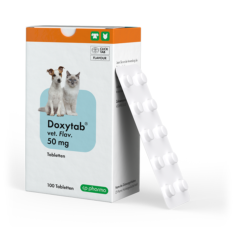 Doxytab vet. flav. 50 mg für Hunde und Katzen, 100 Tabl.