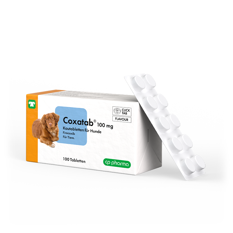 Coxatab 100 mg Kautabletten für Hunde, 100 Kautabletten