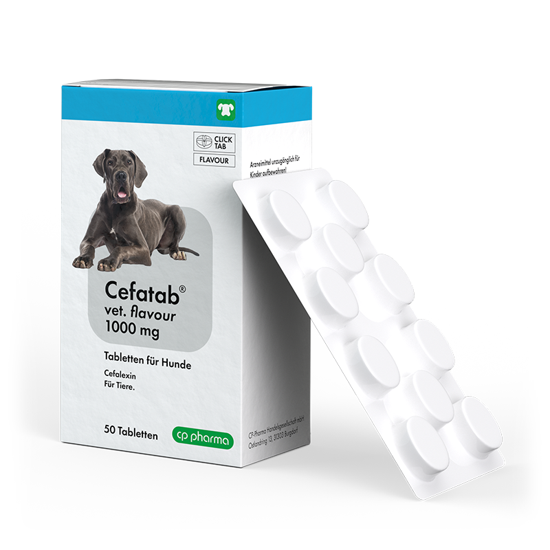 Cefatab vet. flavour 1000 mg Tabletten für Hunde, 50 Tabletten