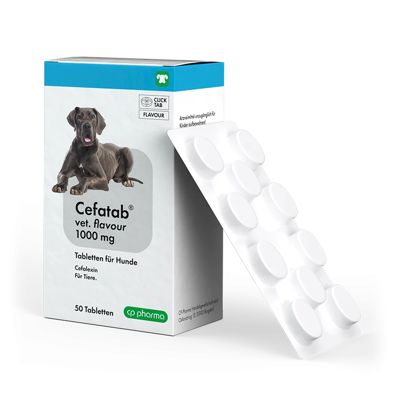 Cefatab vet. flavour 1000 mg Tabletten für Hunde, 50 Tabletten
