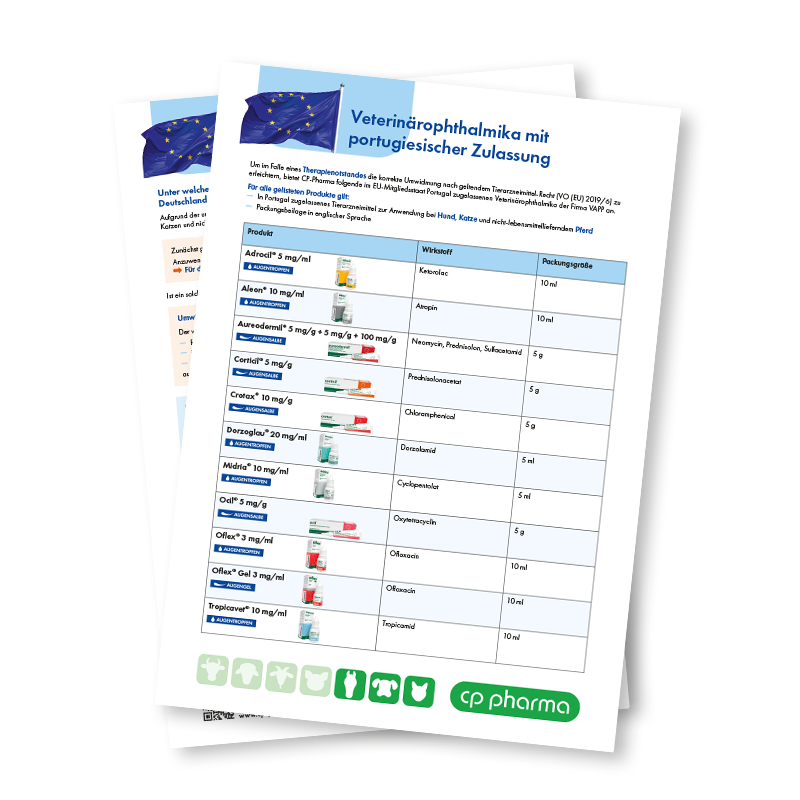 Übersicht portugiesische Augenprodukte