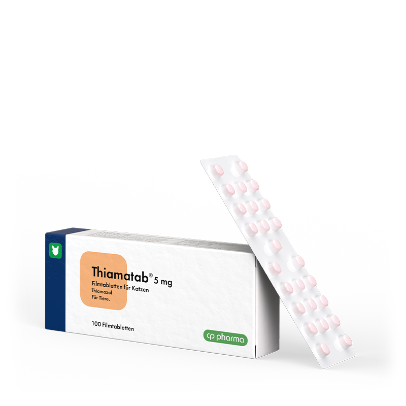 Thiamatab 5 mg, 100 Filmtabl.