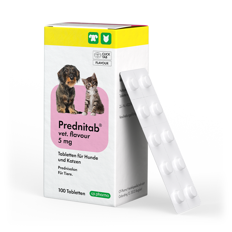 Prednitab vet. flavour 5 mg, 100 Tabletten