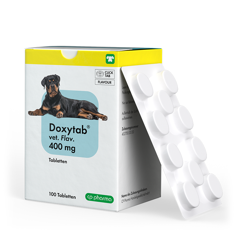 Doxytab vet. flav. 400 mg für Hunde, 100 Tabl.