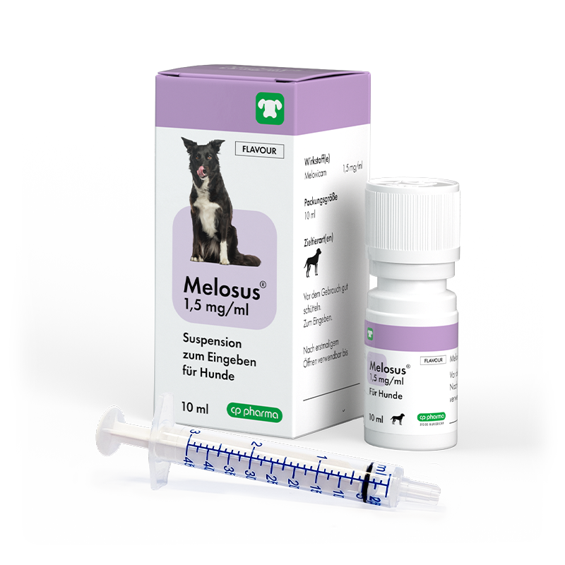 Melosus 1,5 mg/ml für Hunde, 10 ml