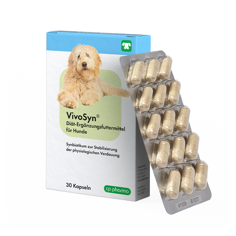 VivoSyn, 30 Kapseln