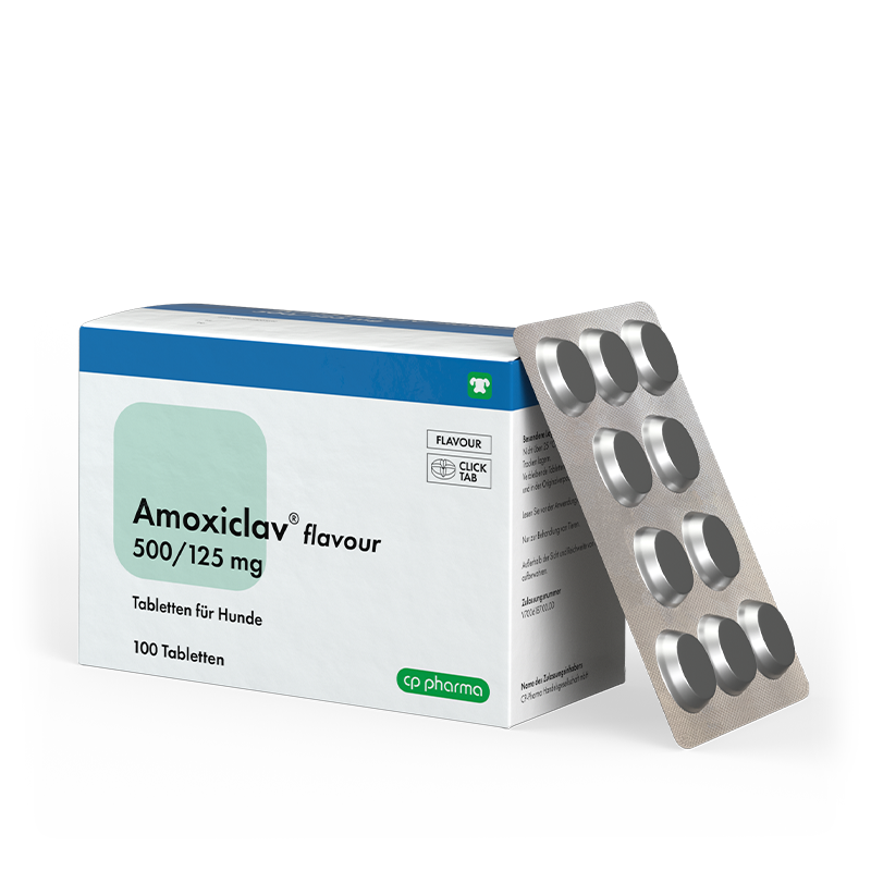 Amoxiclav flavour 500/125 mg, 100 Tabletten