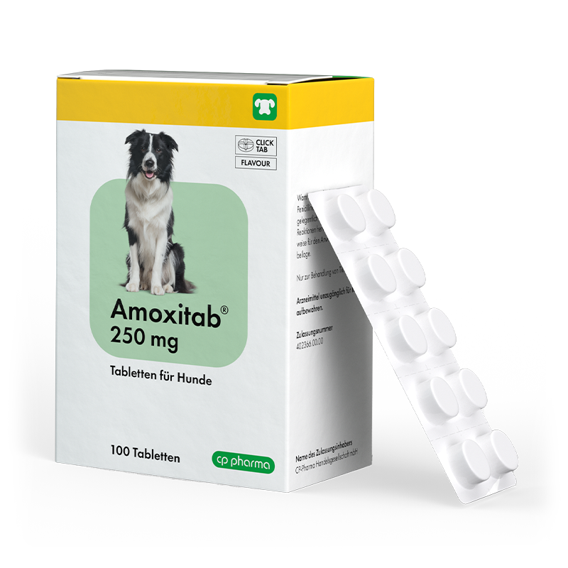 Amoxitab 250 mg, 100 Tabletten für Hunde