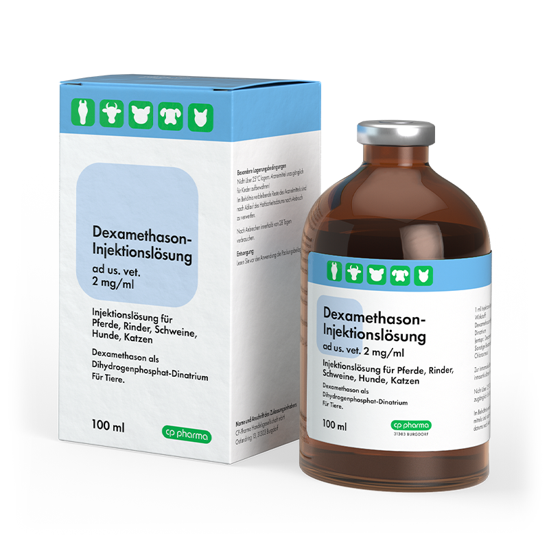 Dexamethason Injektionslösung 2 mg/ml, 100 ml