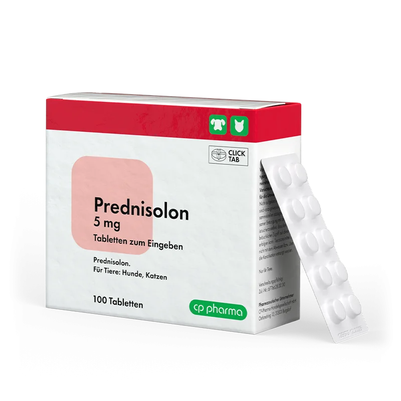 Prednisolon 5 mg, 100 Tabl.