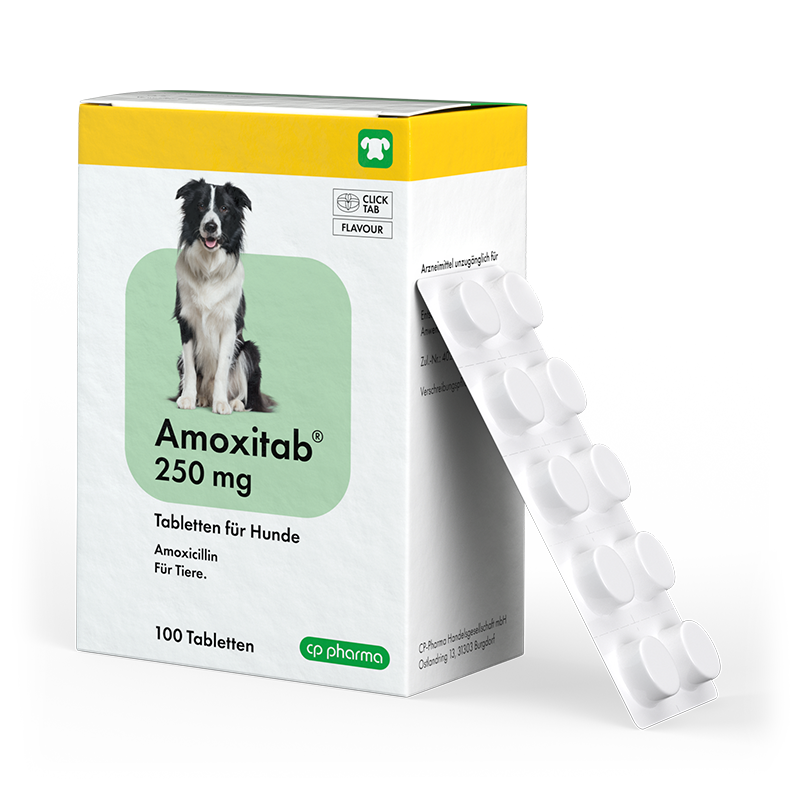 Amoxitab 250 mg, 100 Tabletten für Hunde