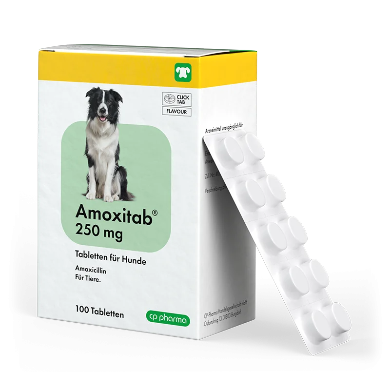 Amoxitab 250 mg, 100 Tabletten für Hunde