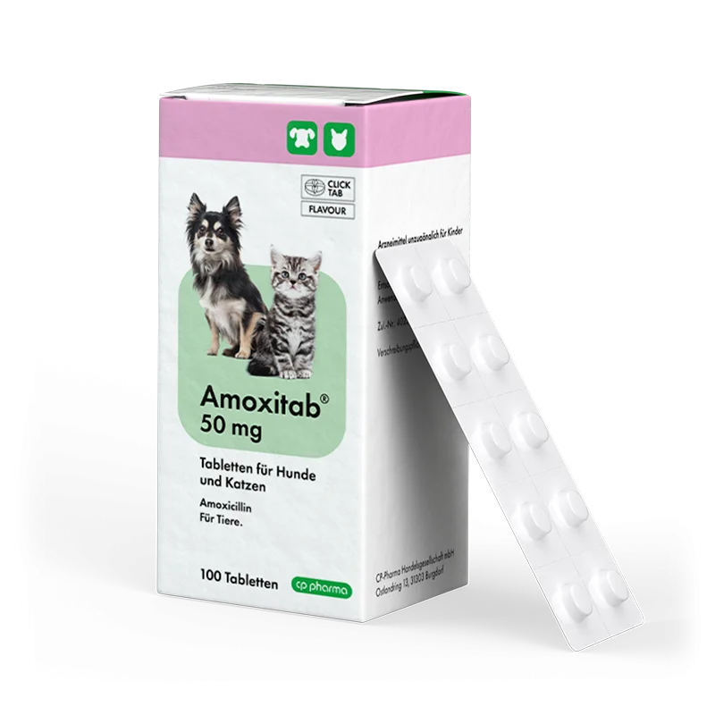 Amoxitab 50 mg, 100 Tabletten für Hunde und Katzen