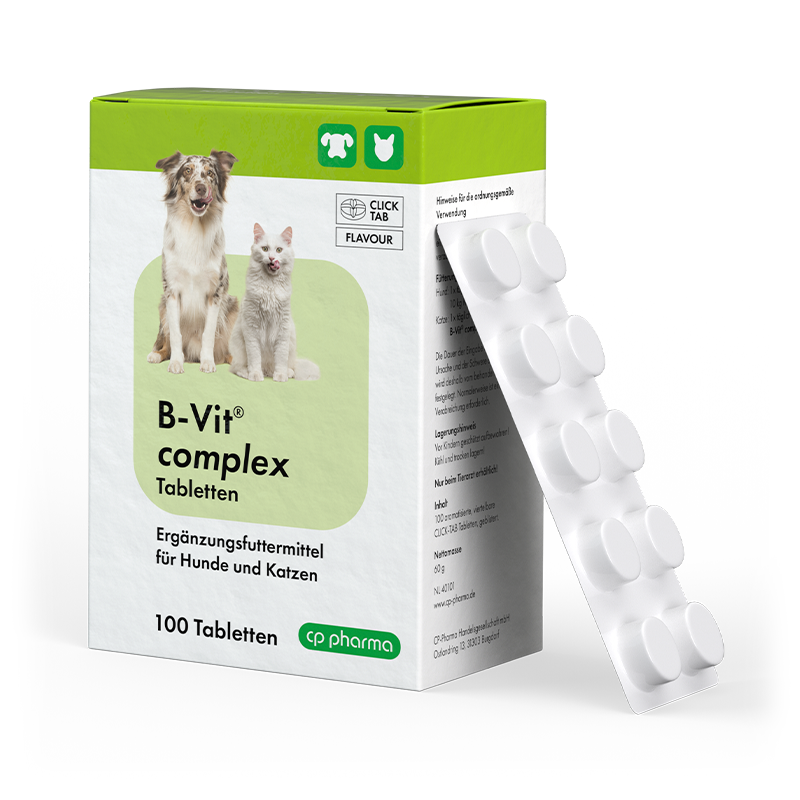 B-Vit complex Tabletten, 100 Tabl.