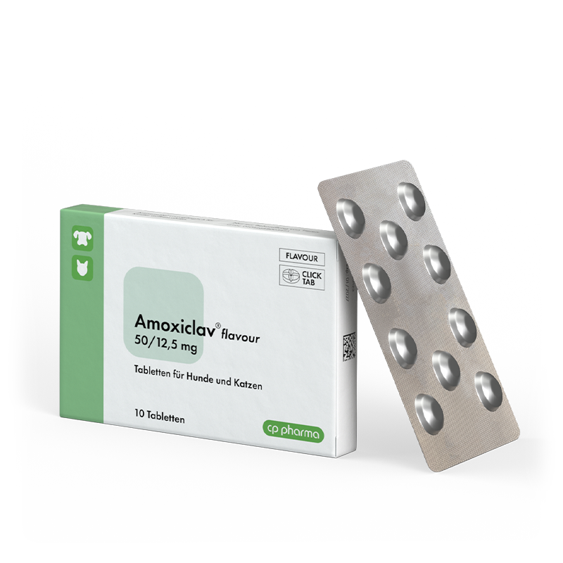 Amoxiclav flavour 50/12,5 mg, 10 Tabletten