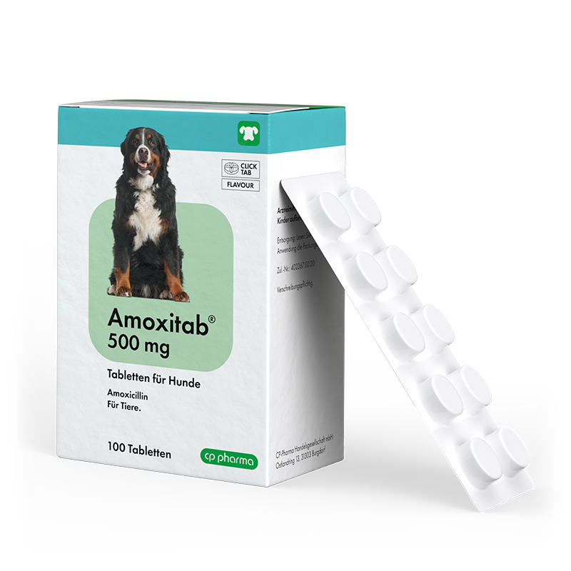 Amoxitab 500 mg, 100 Tabletten für Hunde