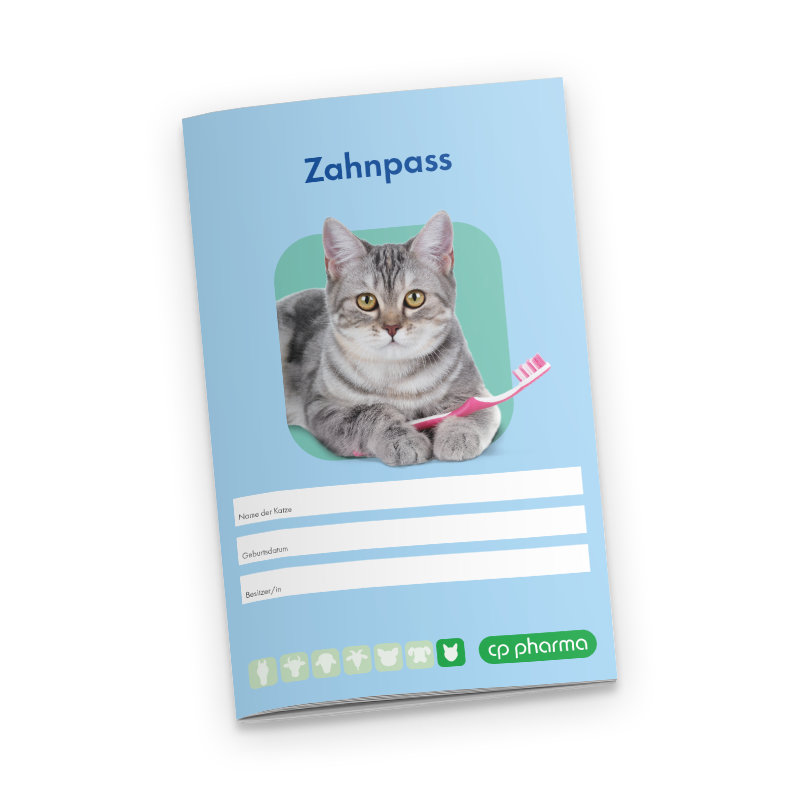 Zahnpass für Katzen, 20 Stück