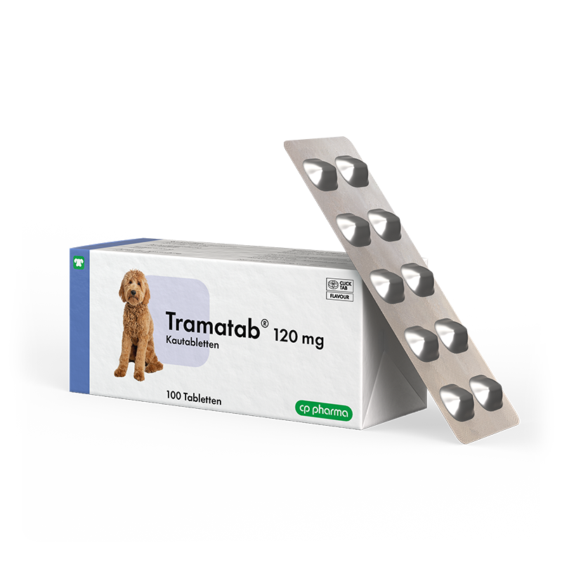 Tramatab 120 mg, 100 Tabl.