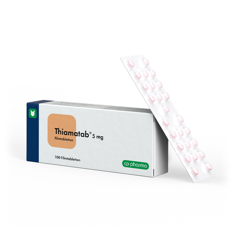 Thiamatab 5 mg, 100 Filmtabl.
