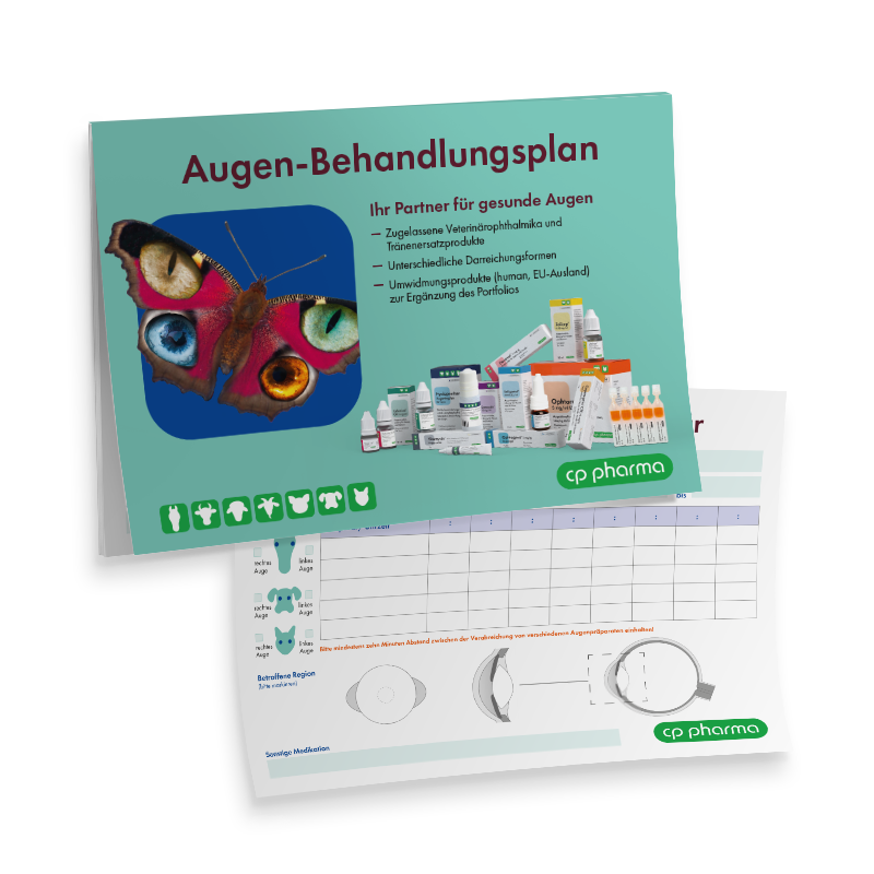 Augen-Behandlungsplan