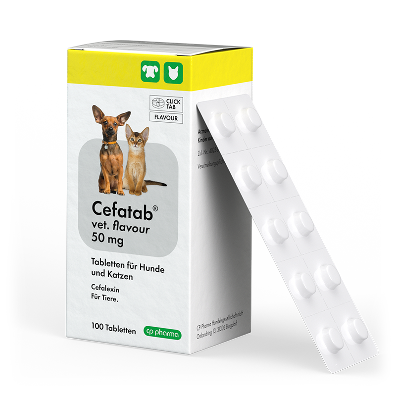 Cefatab vet. flavour 50 mg Tabletten für Hunde und Katzen, 100 Tabletten