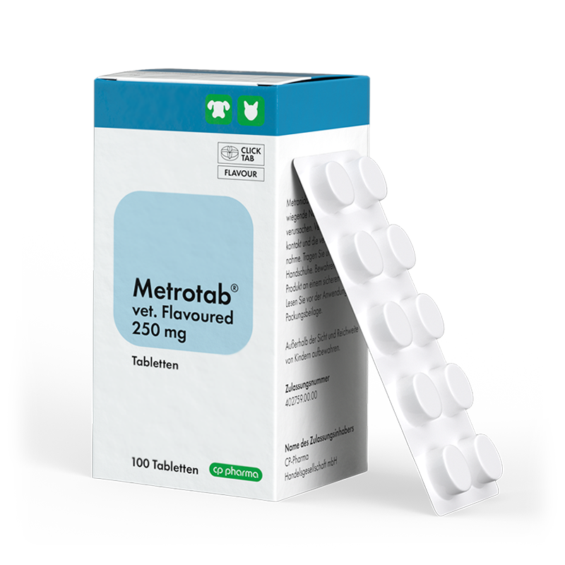 Metrotab vet. flavoured 250 mg, 100 Tabl.