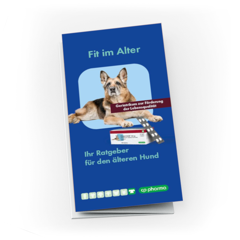 Propentotab Infobroschüren, 10 Stück