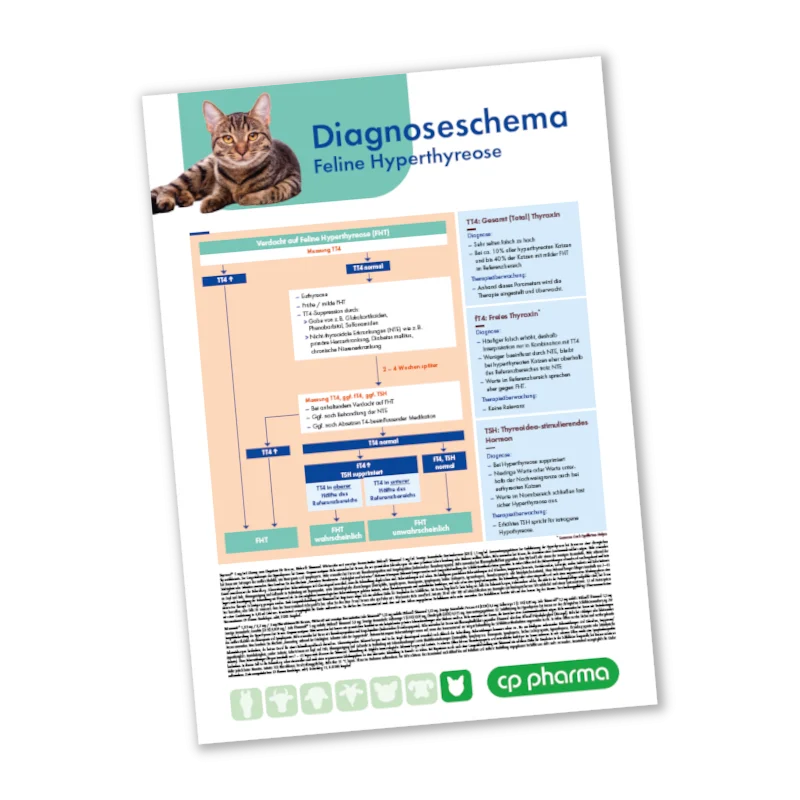 Thyrasol / Thiamatab - Diagnose- und Behandlungsschema (FHT) | 2740DB
