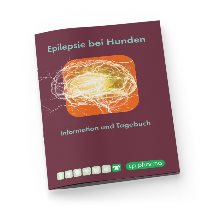 Epilepsie Tagebuch