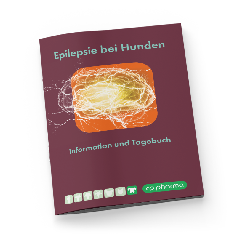 Phenotab Epilepsie Tagebuch