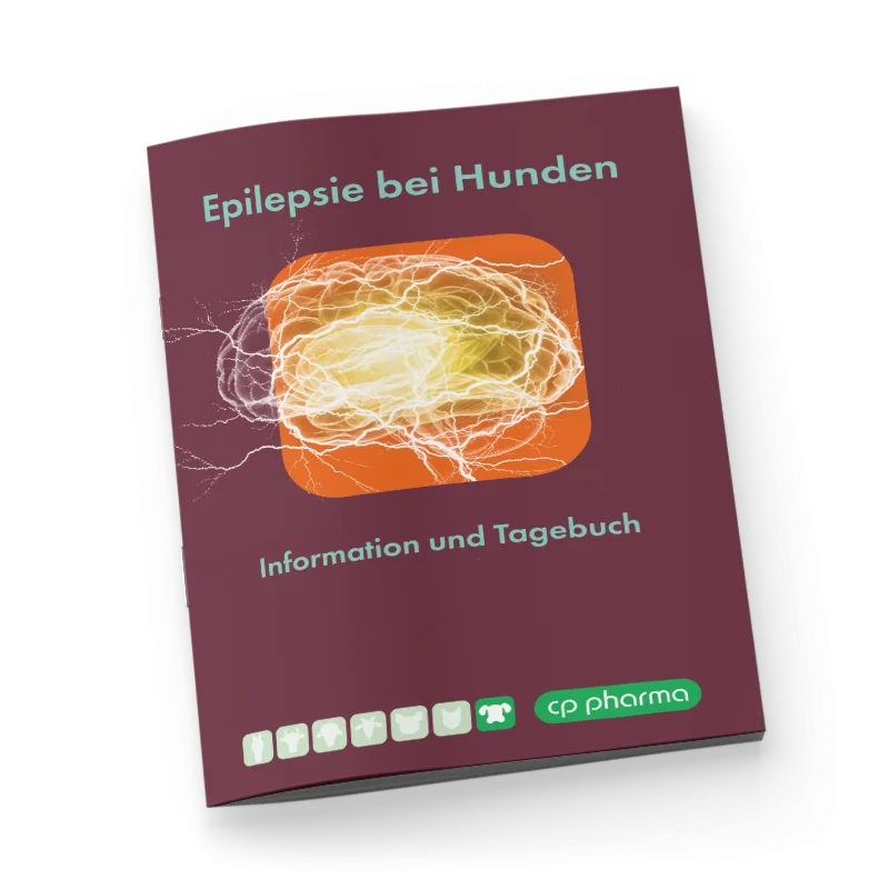 Phenotab Epilepsie Tagebuch