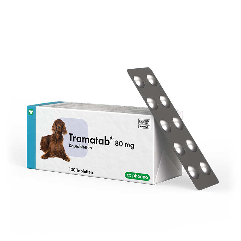 Tramatab 80 mg, 100 Tabl.