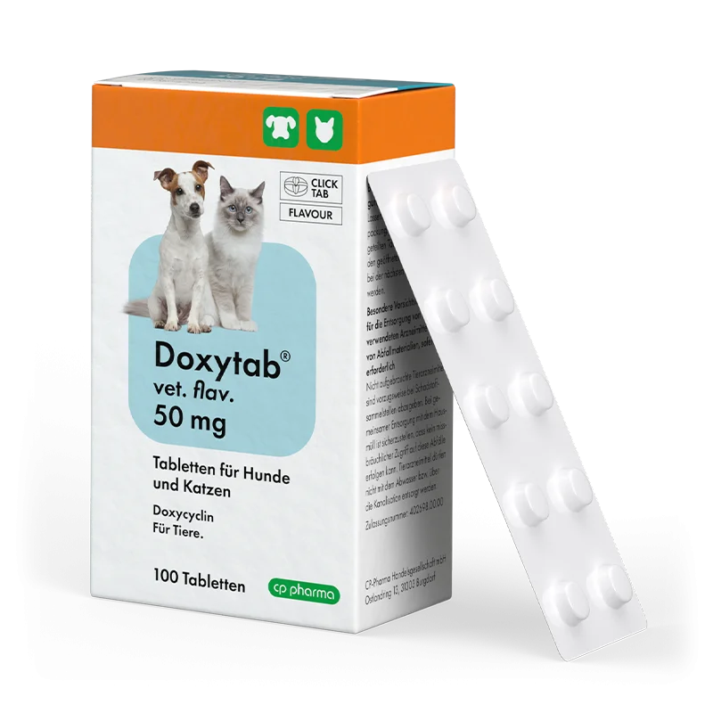 Doxytab vet. flav. 50 mg für Hunde und Katzen, 100 Tabl.