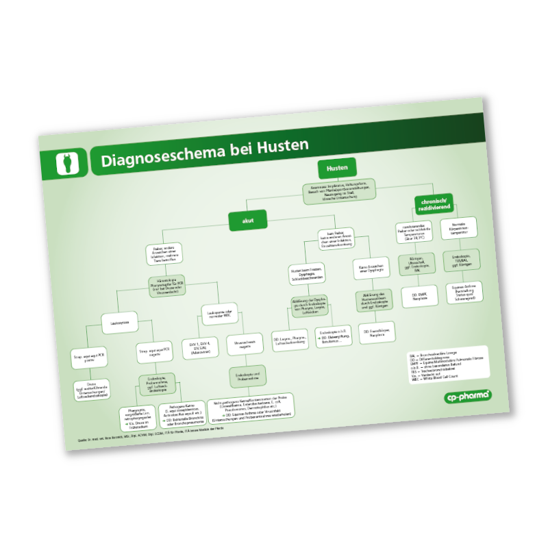 Diagnoseschema Husten (Pferd)