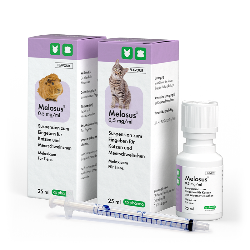 Melosus 0,5 mg/ml für Katzen und Meerschweinchen, 25 ml