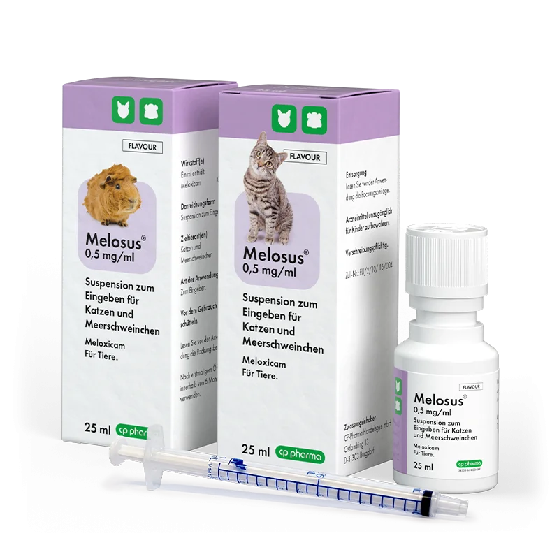 Melosus 0,5 mg/ml für Katzen und Meerschweinchen, 25 ml