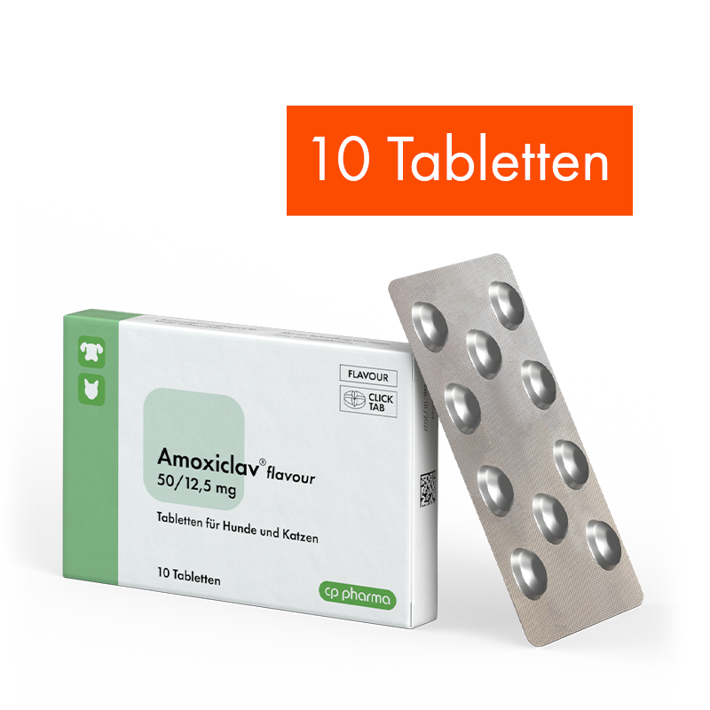 Amoxiclav flavour 50/12,5 mg, 10 Tabletten
