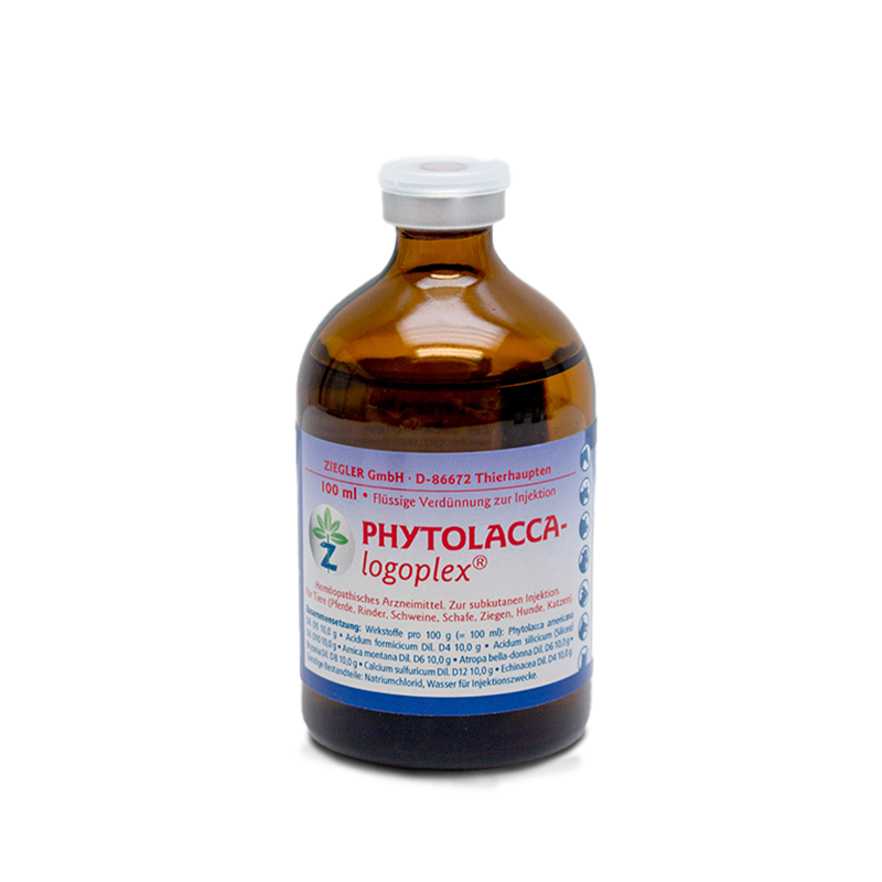 Phytolacca-logoplex, 100 ml